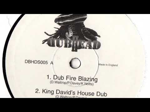 Bush Chemists - Dub Fire Blazing (2001 Dubhead) 10"Mix