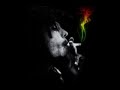 Bob Marley - Sun Is Shining (Unknown Remix ...