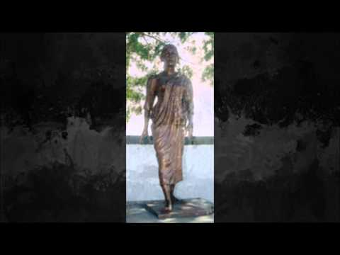 Lane 43   siven chinien