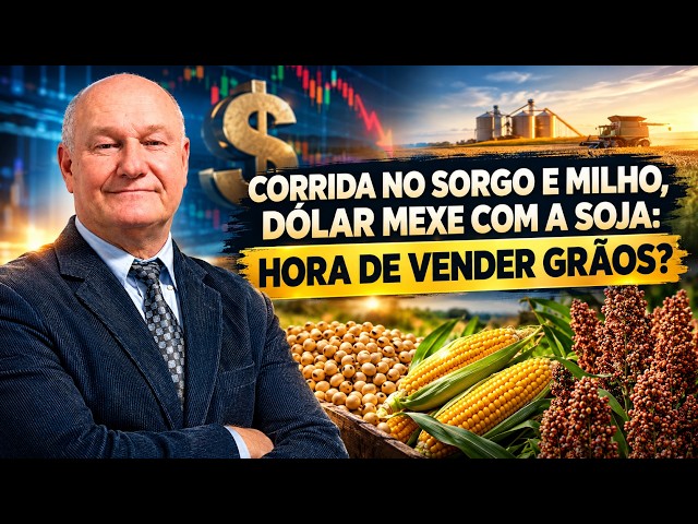 Corrida no Sorgo e Milho, Dólar Mexe com a Soja: Hora de Vender Grãos?