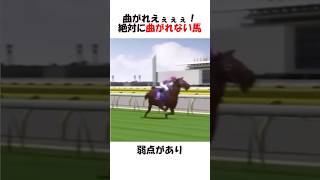 曲がれえぇぇ！絶対に曲がれない馬？