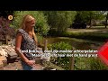 Eendjes massaal doodziek in Veghelse vijver