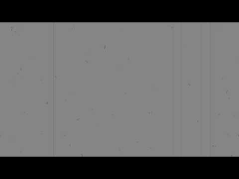 Miconeh- Habitación 204