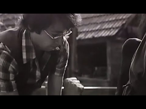 Dabas a '80-as években