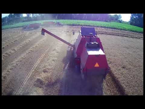 Drongengoed Pikdorsen 2020