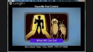 preview picture of video 'Vacaville Pest Control | (707) 317-6060 | Pest Control Vacaville CA'