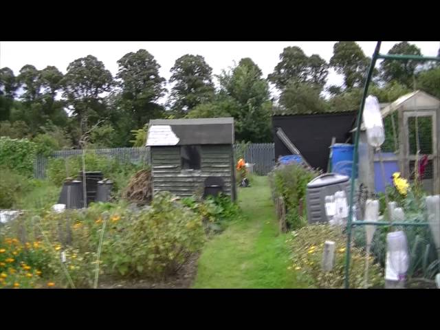 英語のallotmentのビデオ発音