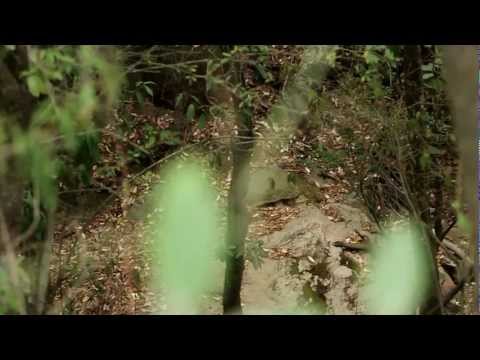 Erick Ruiz: Inauguracion RuizFmx Compound