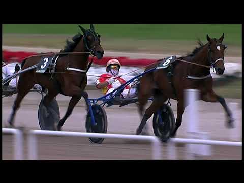 Napoli Trotto 02/10/2021 - 3ª corsa