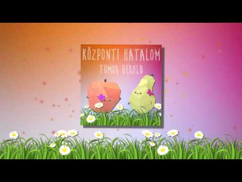 Központi Hatalom - Kaksi Endre (Koxcián)