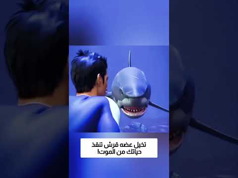 تخيل عضه قرش تنقذ حياتك من الموت!