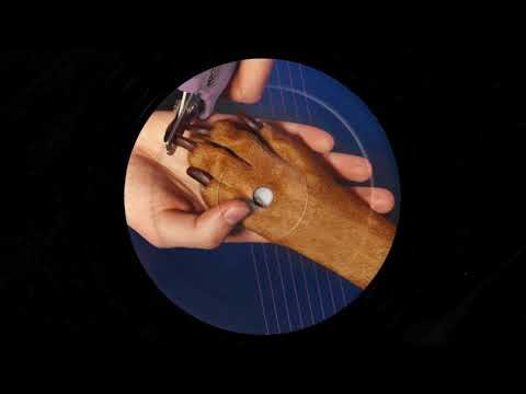 Nas1 & Brothermartino - NBM03