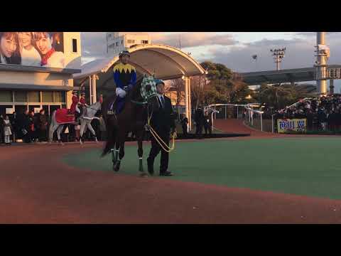 2018.12.29 大井🐎10R 第64回 東京大賞典競走（GI）周回