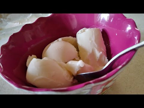 Homemade Mayonnaise Icecream