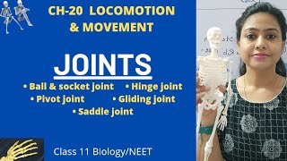 Ch-20 Locomotion and movement| Joints|Fibrous,Cartilaginous & Synovial joints|Class 11 Biology NEET