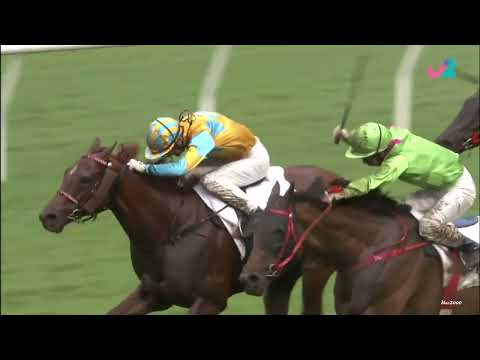 01/07/2022 (796) 連連行運 (C441) 蔡明紹