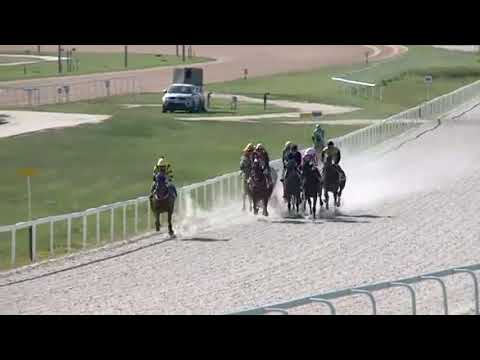 #HRNG - Yorkshire Hendikep III. osztály 2019.08.18.