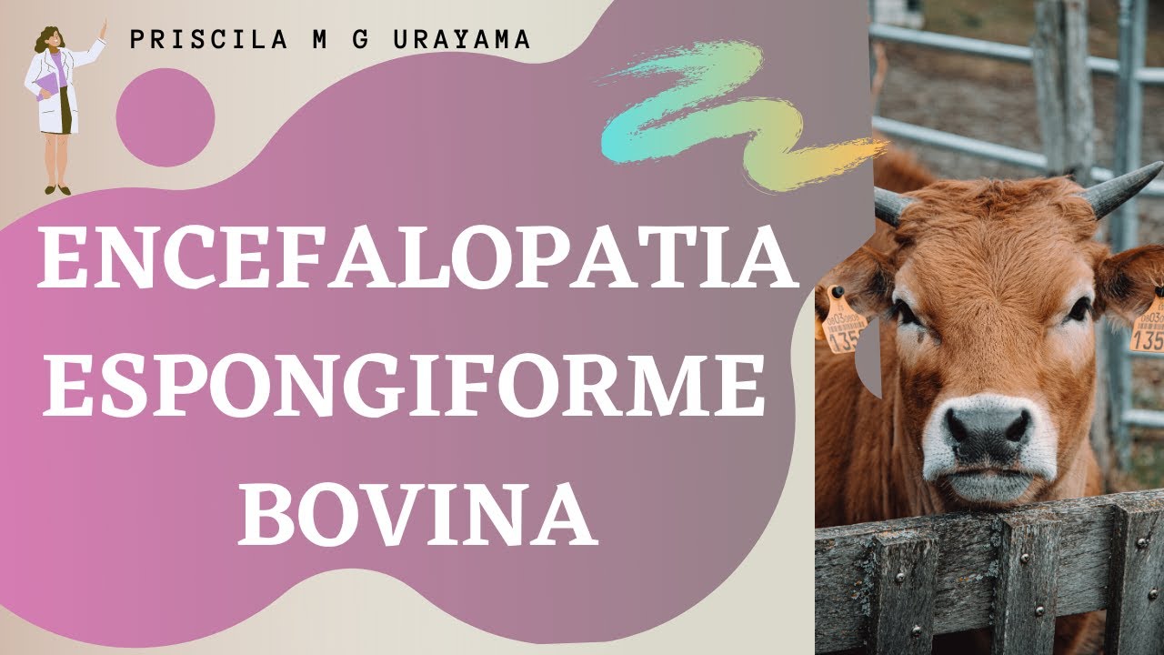 Encefalopatia Espongiforme Bovina (EEB) - Doença da "Vaca Louca"