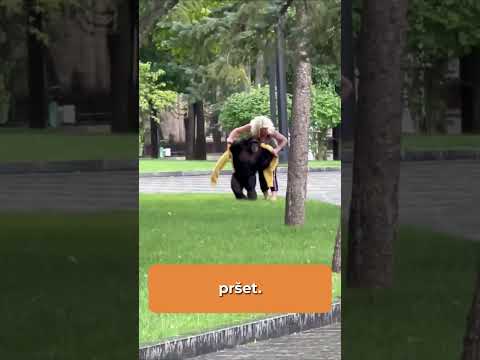 TOP 4 Zvířata co utekla ze zoo #shorts #zajimavosti