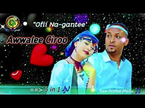 Awwalee Ciroo ittiin buharaa Jaallewan Qaqaalii