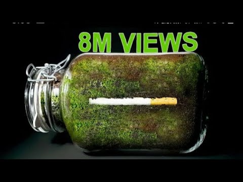 CIGARETTE  IN SOIL - 333 MINUTE TIME LAPSE [8k] #short
