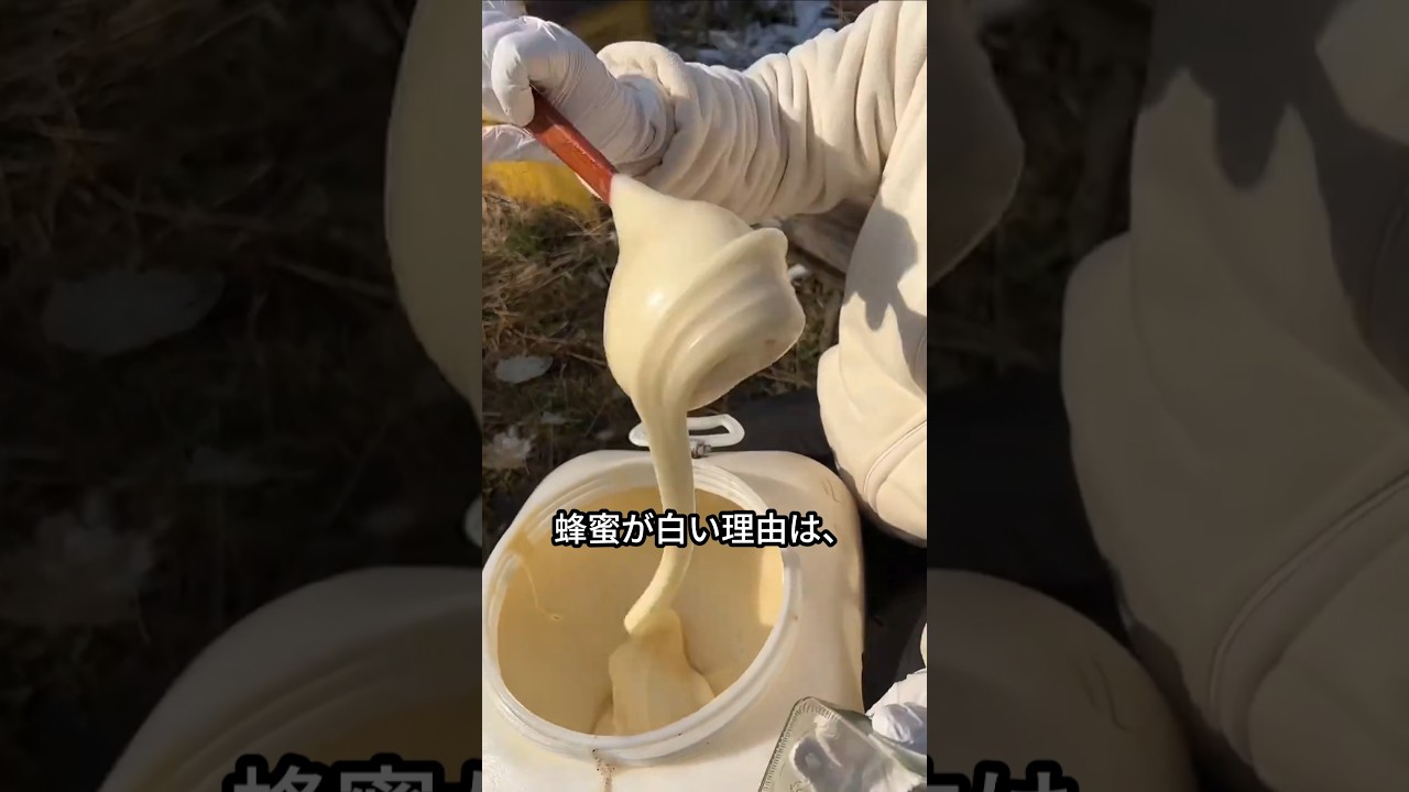 白い蜂蜜の正体