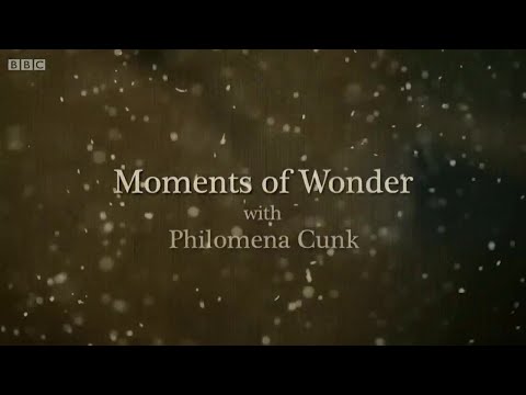 Moments Of Wonder with Philomena Cunk On Diane Morgan Charlie Booker's Weekly Wipe British Comedy