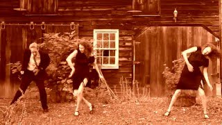 Consenses: Bridgman|Packer interpretation of Mark Erelli's Song "Leaving Birds"