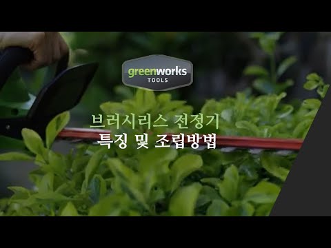 [Greenworks] 40V Pruner