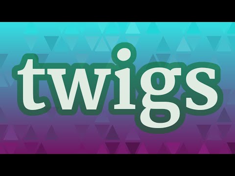 TWIGS pronunciation • How to pronounce TWIGS