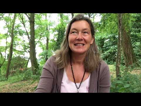 Der Zauber der Schöpfung