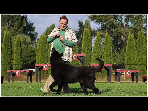 Biggest Jet Black IPO Titled Male in America!