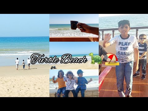 Turtle Beach  🐢 ⛱️ Calm & tranquil  Beach #seaside #turtlebeach