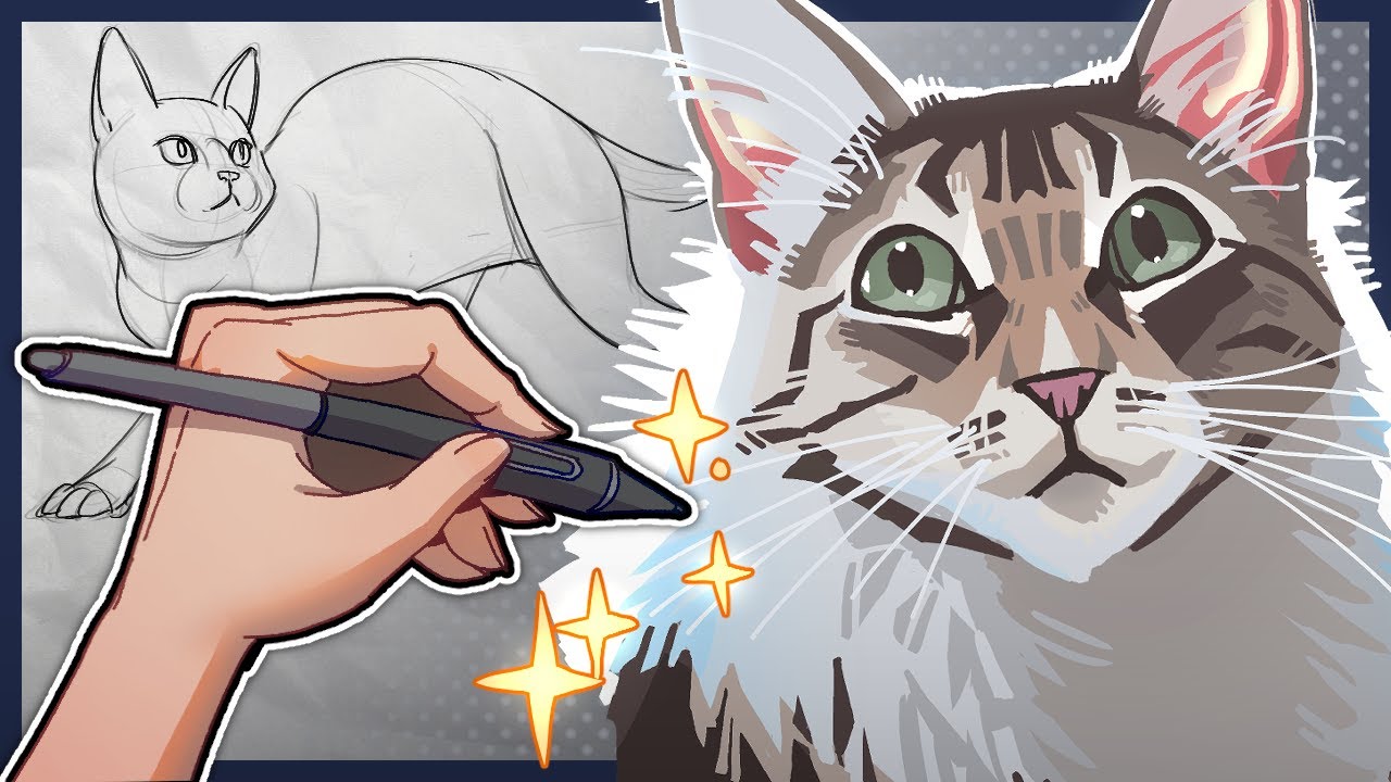Learn to draw cats (better)!