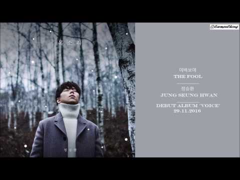 [HAN/ENG] Jung Seung Hwan 정승환 - The Fool 이 바보야