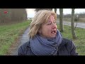 Meer reeën aangereden op de Rietweg in Lelystad