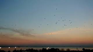 Sezen Aksu Günaydın memur bey