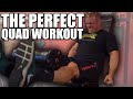 The Perfect Quad Workout | SICK Leg Day W IFBB Pro Arash Rahbar
