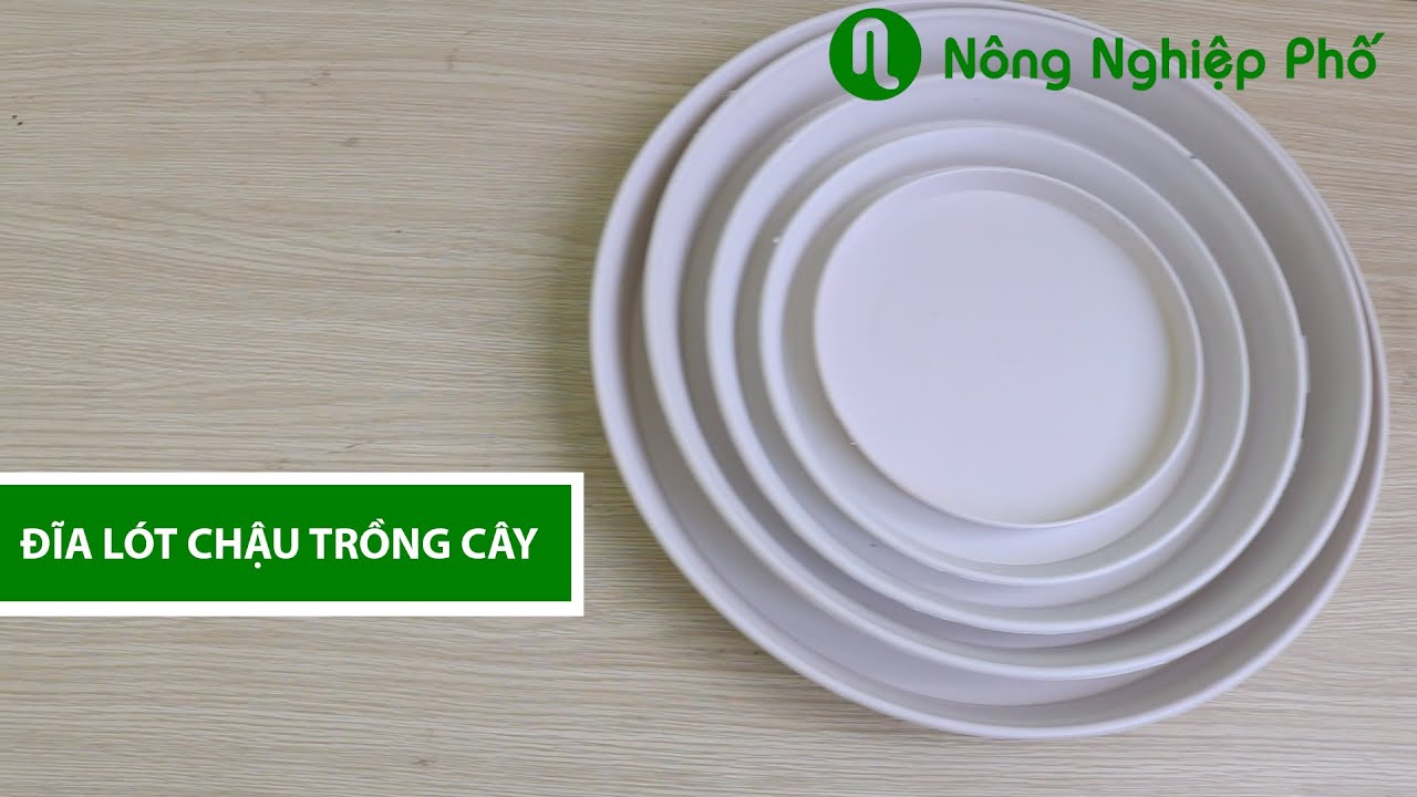 Đĩa lót chậu trồng cây hình tròn