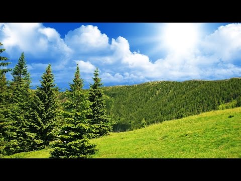 Muss Wandern Muss Wandern - Ronny