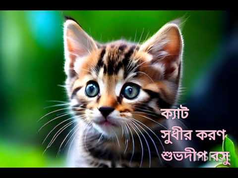 cat: Sudhir Karan