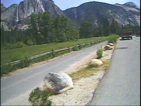 Yosemite Motorcycle Tour