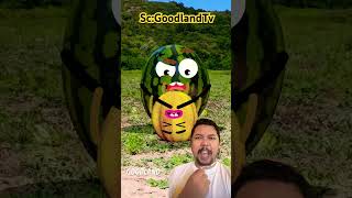 Download lagu Didalam semangka ada Melon!!?? #funny #cartoon #animation #comedy mp3