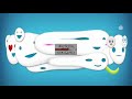 Skype Logo AVS Effects