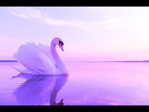 Miracle Music Healing 528Hz | Enhance Self Love | Positive Energy Cleanse | Detox Your Mind & Heart