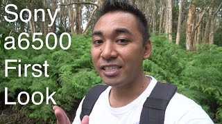 Download lagu Sony a6500 First Look | John Sison mp3 Download lagu Sony a6500 First Look | John Sison mp3