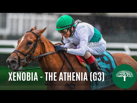 Xenobia - 2019 - The Athenia (G3)