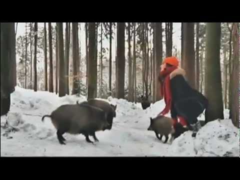 X:enius - Tiere im Winter