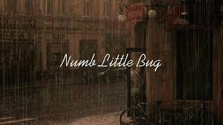 Numb Little Bug – Cover by KZ Liz (Lyrics + Terjemahan)