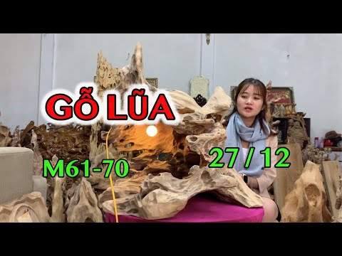Gỗ lũa nghệ thuật cực đẹp Xá xị, Trường mật, Kháo vàng !